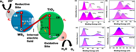 XPS峰位移分析指南：从工作原理到电荷转移与价态表征
