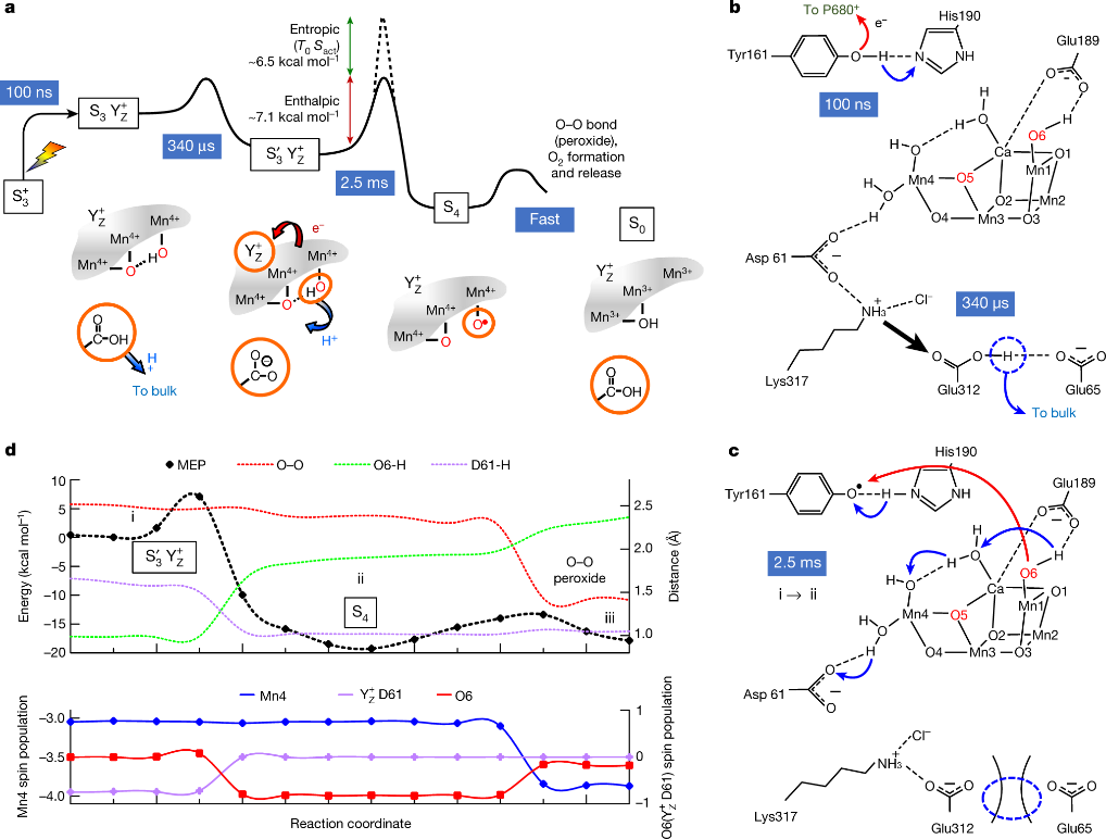基于“新三传”视角，全面解析电子、质子与分子传递机制及其耦合效应