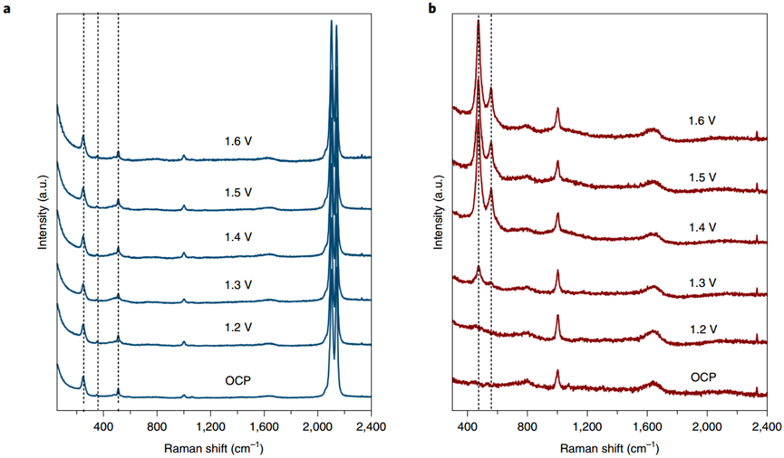 原位测试之原位红外、原位拉曼