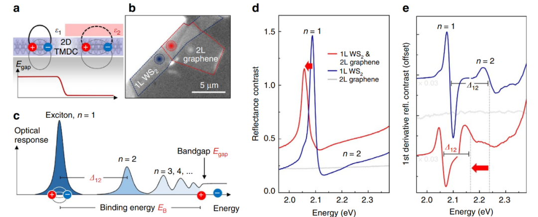 载流子基础理论与应用：类型、关键参数及调控表征方法