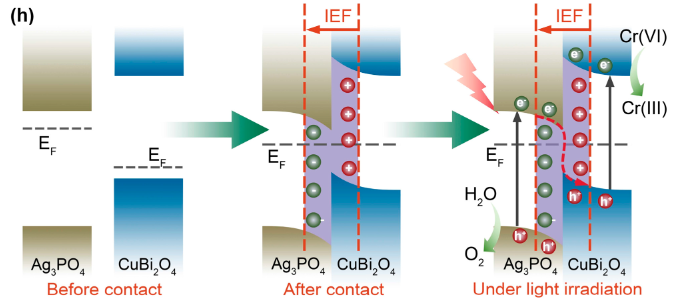 电荷转移全解析：定义、分类、机制与表征技术（含 DFT/XPS 等方法）