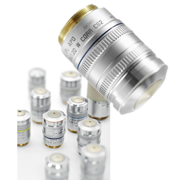 激光共聚焦显微镜（一）结构及成像原理