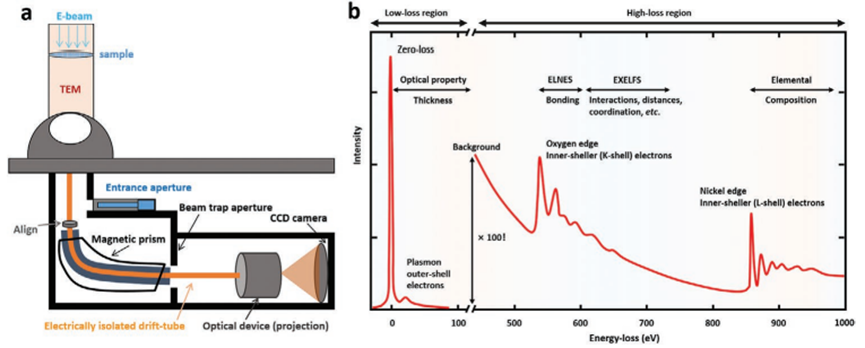 电子显微镜入门（下）：透射电镜（TEM）成像逻辑、EDS/EELS 联用技术与典型应用