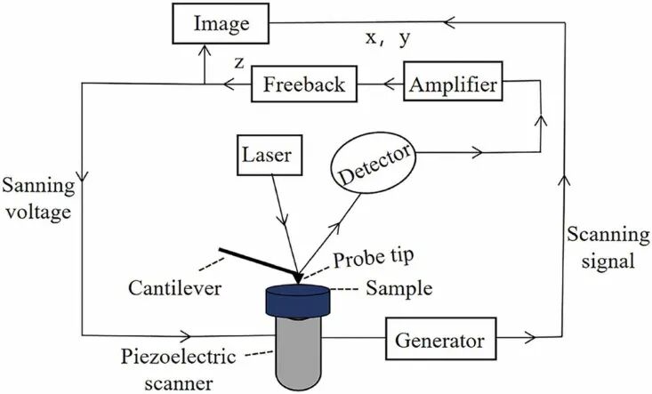 从原理到实战：原子力显微镜（AFM）工作机制及其在多领域的强大应用