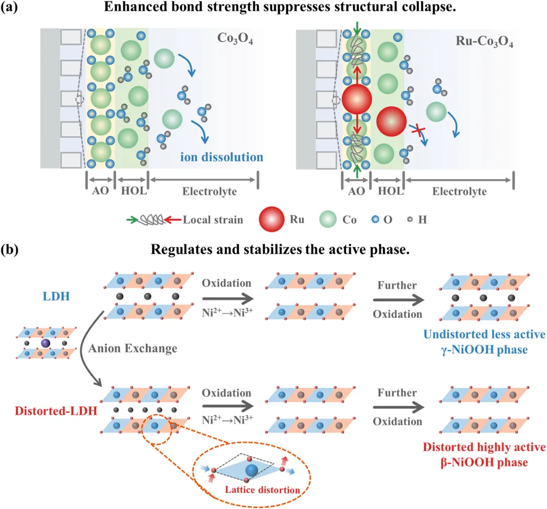 催化材料中的晶格畸变与晶格应变：核心概念、调控机制及应用