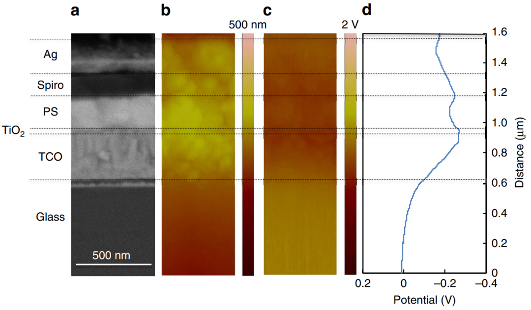 载流子基础理论与应用：类型、关键参数及调控表征方法