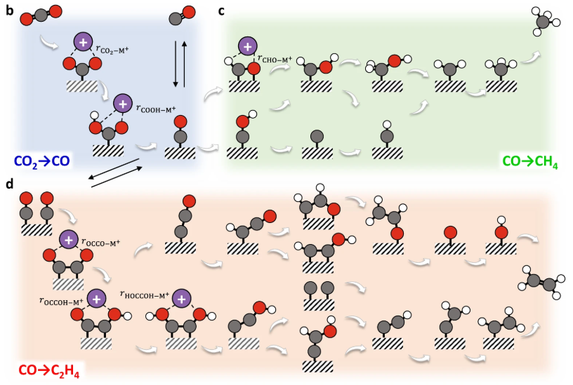 阳离子效应的系统解析：定义分类、多维作用机制及其对反应活性与选择性的分子调控