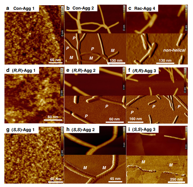 纳米颗粒：定义、团聚/分散机制及表征策略