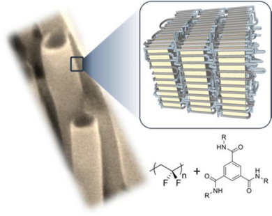 孔道限域效应：定义、核心机制及多领域应用实践