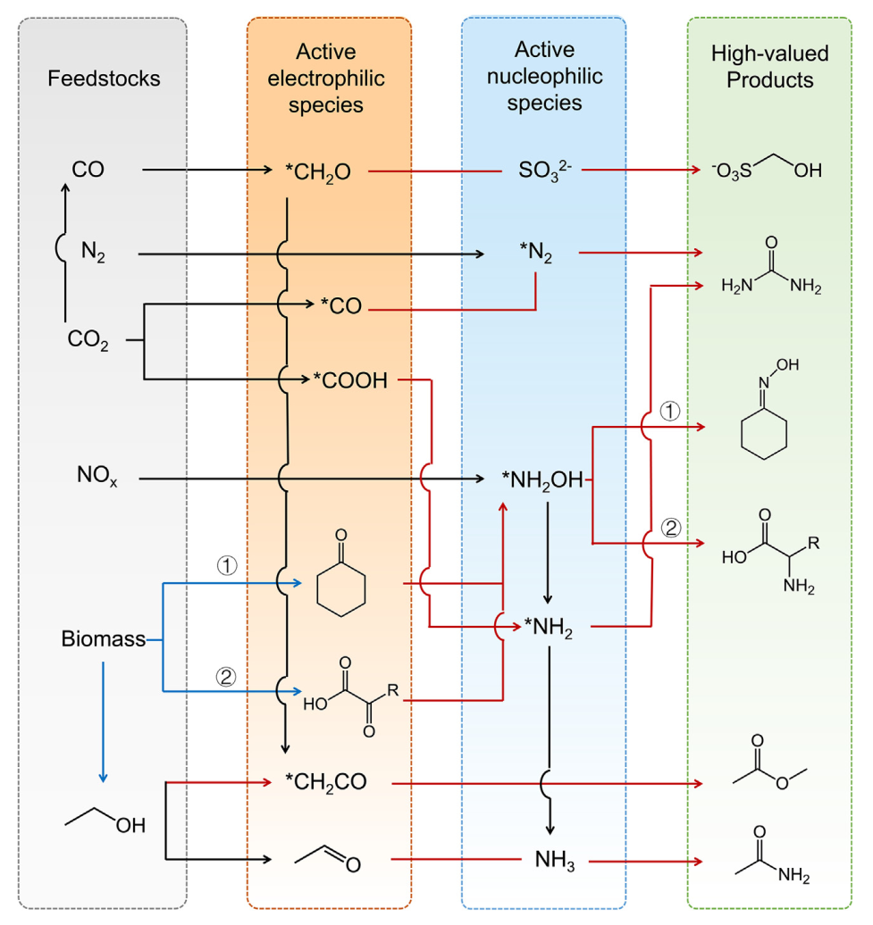 小分子转化技术：定义、作用及优化策略