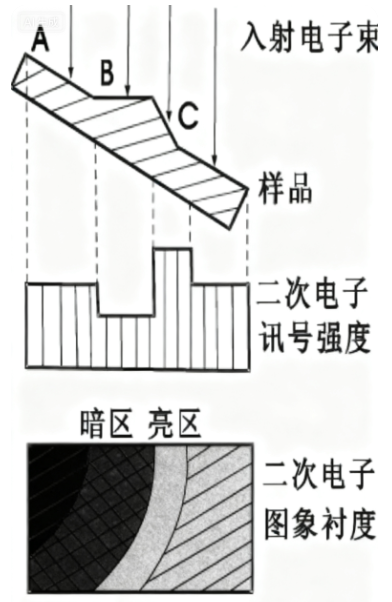 SEM 成像与成分分析全解析：二次电子 (SE)、背散射电子 (BSE) 及 EDS 技术详解
