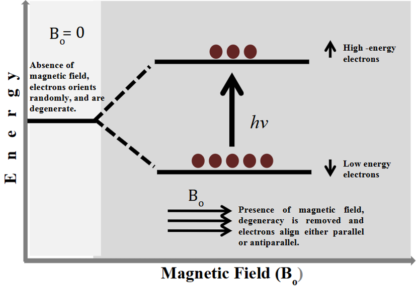 从原理到实操：一文读懂 EPR（电子顺磁共振）的核心逻辑与谱图解读技巧
