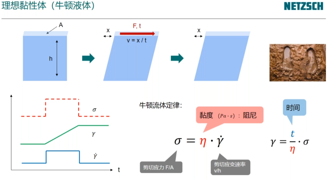 流变学基础：黏度与黏弹性测试
