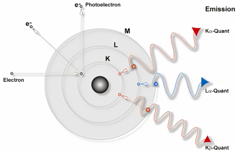 什么是 XRF 测试？