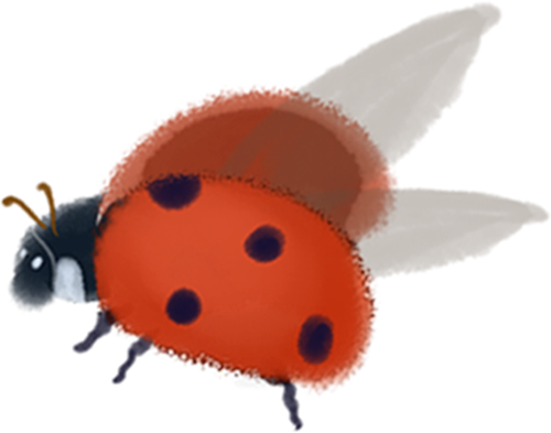 离散傅里叶变换（DFT）和快速傅里叶变换（FFT）