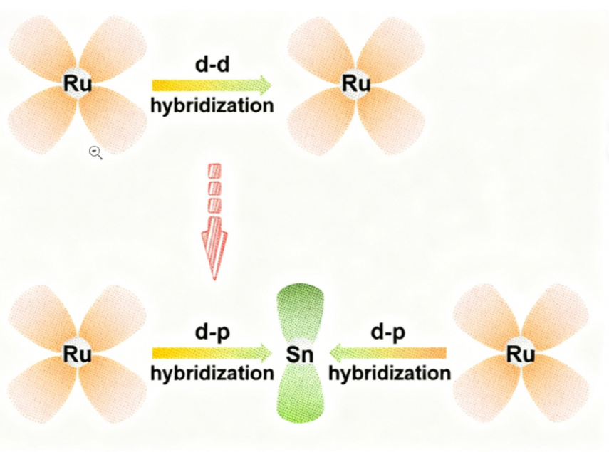 轨道杂化如何影响分子吸附？d-p杂化通过电子重排与成键效应调控吸附性能