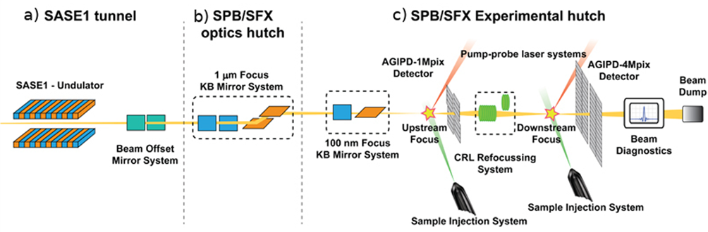 解析蛋白质结构的三大技术