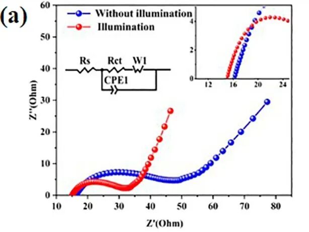 EIS半圆大小变化的本质：原理、Nyquist图半圆形成机制及导电性/表面状态/催化活性等关键因素的作用