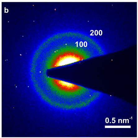 五种电子显微表征技术（SEM, TEM, ESEM, EDS, EBSD）的原理与应用对比
