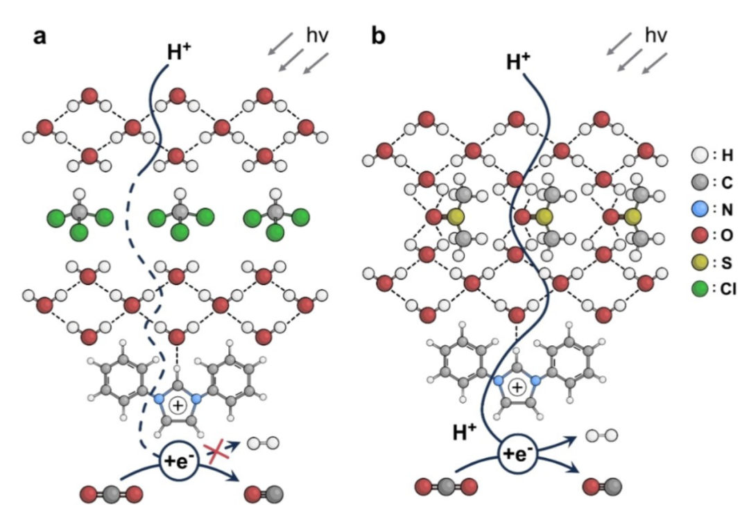 氢键如何影响化学性质？基于热力学稳定性与动力学活性的综合分析