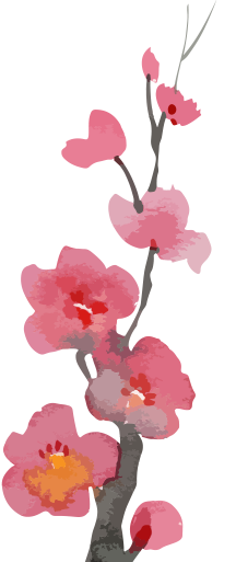 解锁分子结构密码：圆二色谱法的分析应用