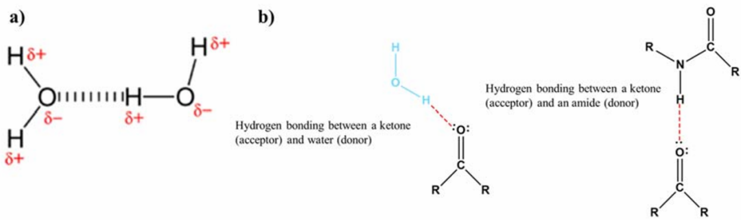 氢键如何影响化学性质？基于热力学稳定性与动力学活性的综合分析
