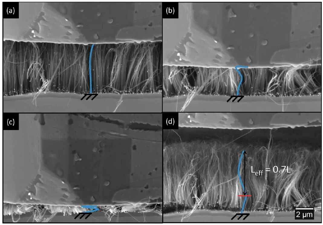 五大电镜测试技术总结！SEM、TEM、ESEM、EDS、EBSD