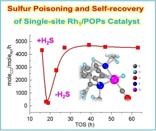 揭示电催化剂中毒：从原子层面机理到性能衰退的量化与前沿表征