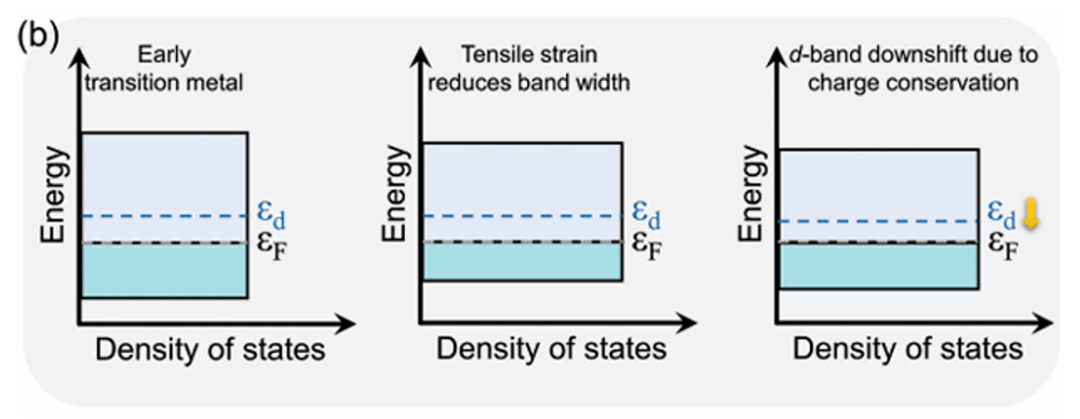 一文读懂d带中心：上移与下移的深层原因及精准调控策略