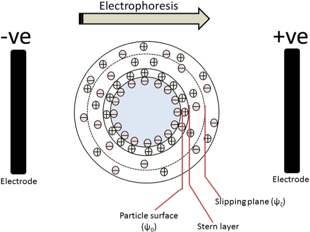 Zeta电位：表征颗粒表面电荷的关键指标与测量方法详解