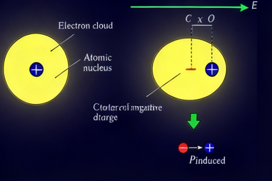 极性与极化有何不同？从分子键极性到多物理场电学行为的底层逻辑