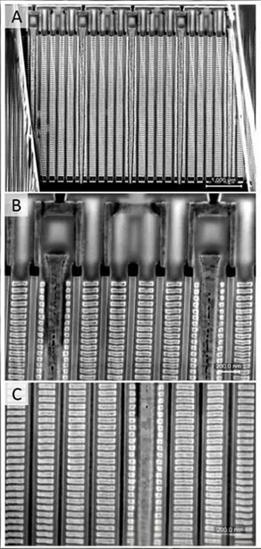 纳米级精准操控！FIB 技术在材料科学与半导体领域的核心应用解析