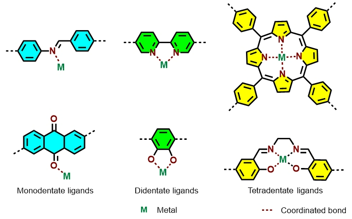 配位数与配体数：概念辨析、核心区别及协同应用