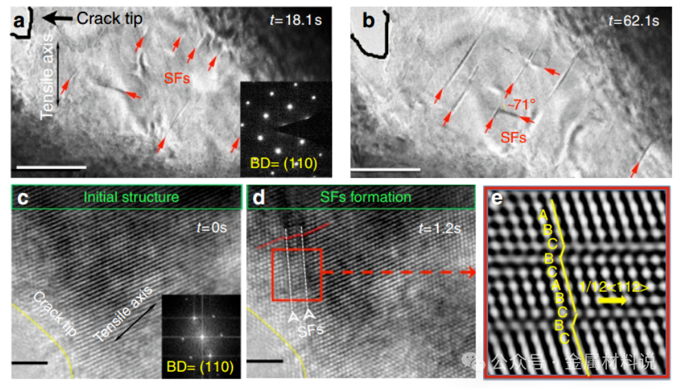 材料表面缺陷谱系与成因探析：多模态表征技术的原理与应用对比
