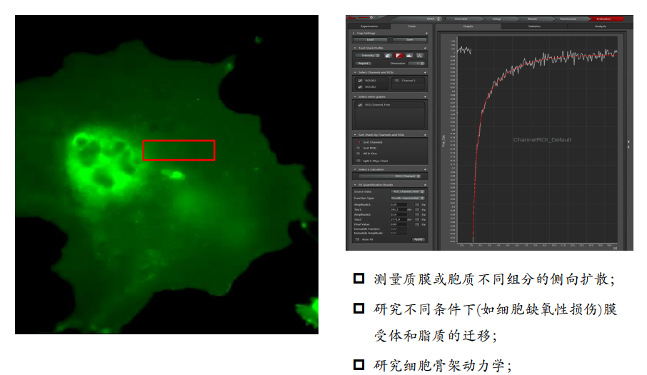 激光共聚焦显微镜（二）功能及应用领域