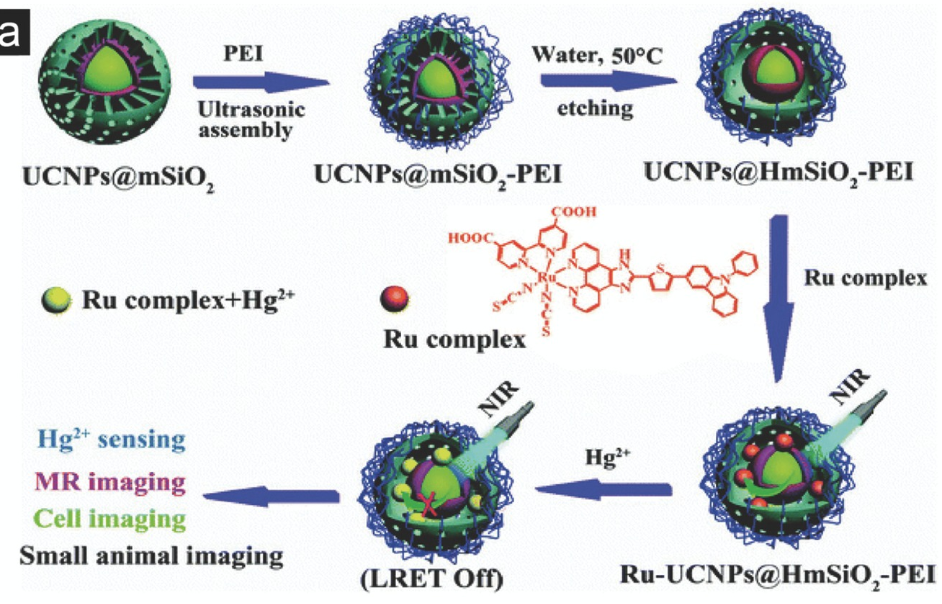 什么是核壳结构？分类、原理与功能设计指南