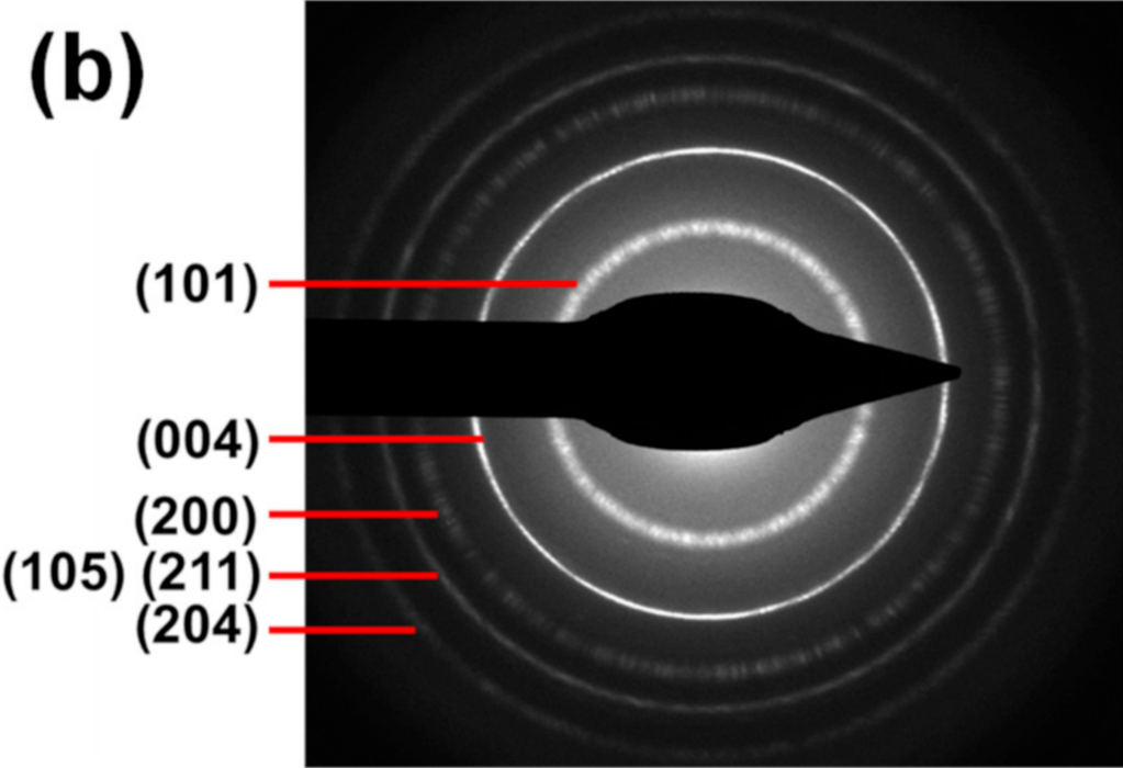选区电子衍射（SAED）中单晶斑点与多晶环状衍射图的形成原理