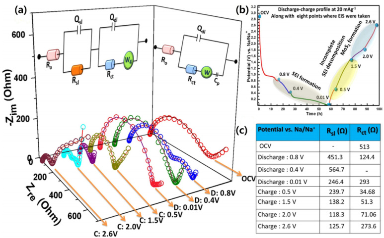 从理论到应用：电化学阻抗谱 EIS 的全面解析与多领域案例