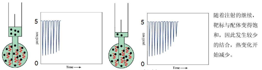 等温滴定量热法（ITC）：探究分子间相互作用