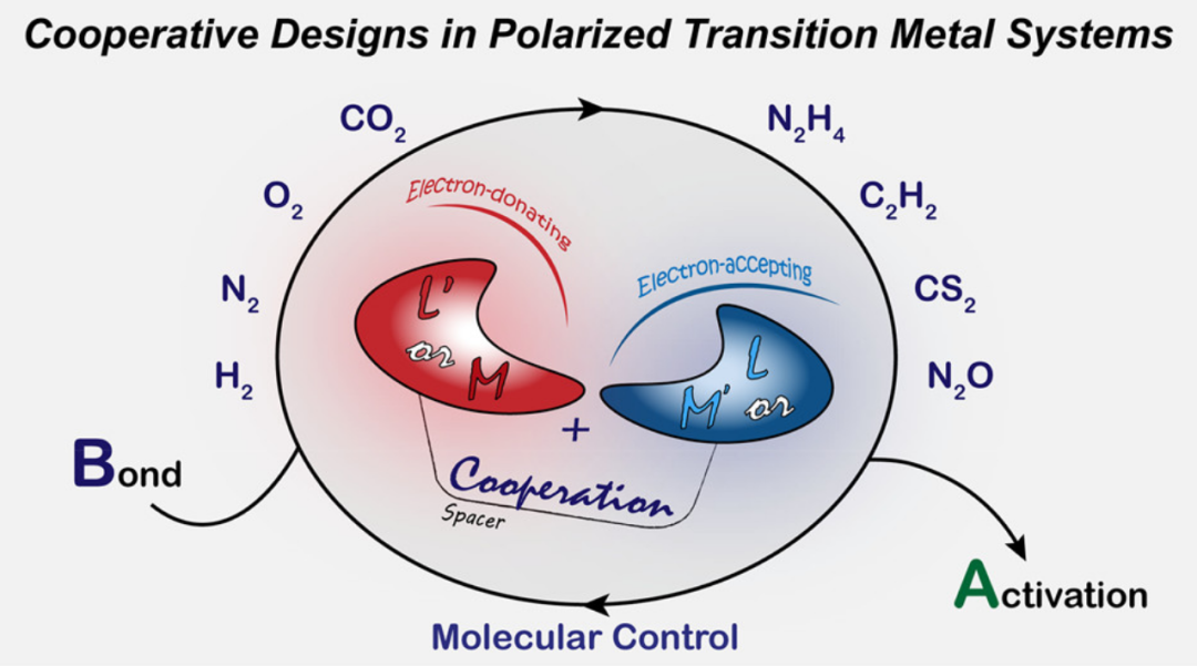 协同催化入门必读：定义、分类及电子调控实战