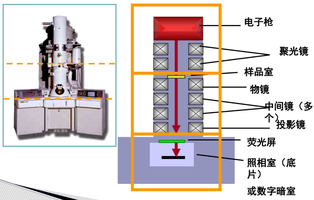 五大电镜测试技术总结！SEM、TEM、ESEM、EDS、EBSD