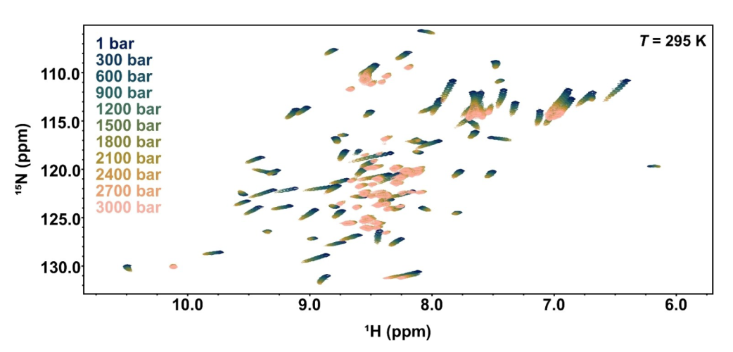 解析蛋白质结构的三大技术