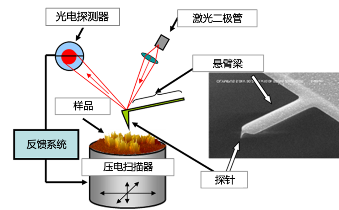 材料测试之原子力显微镜（AFM）