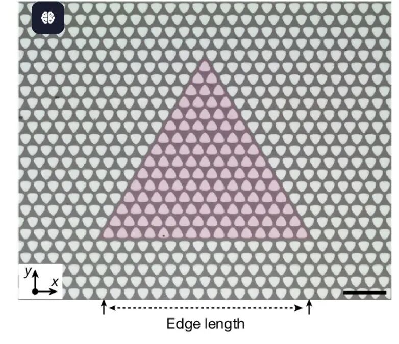 什么是声子？定义、量子化、色散关系及调控前沿