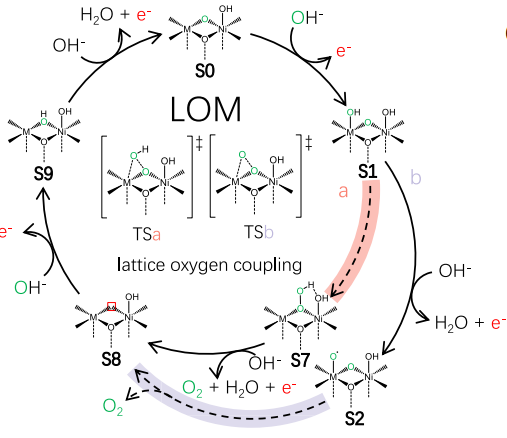 晶格氧逸出抑制策略：从氧空位能垒到反应环境调控的五大路径
