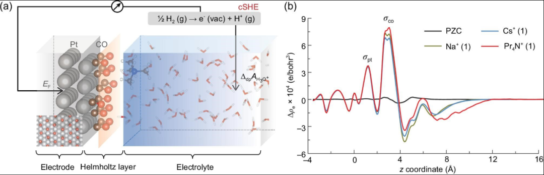 阳离子效应的系统解析：定义分类、多维作用机制及其对反应活性与选择性的分子调控
