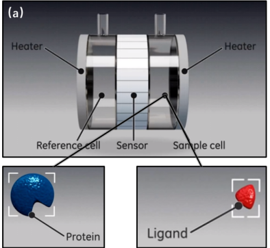 等温滴定量热法（ITC）：探究分子间相互作用