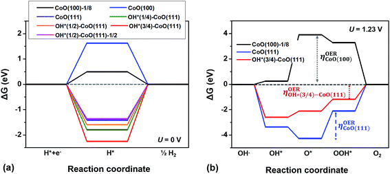 电催化核心参数辨析：过电位与起始电位的区别与关联