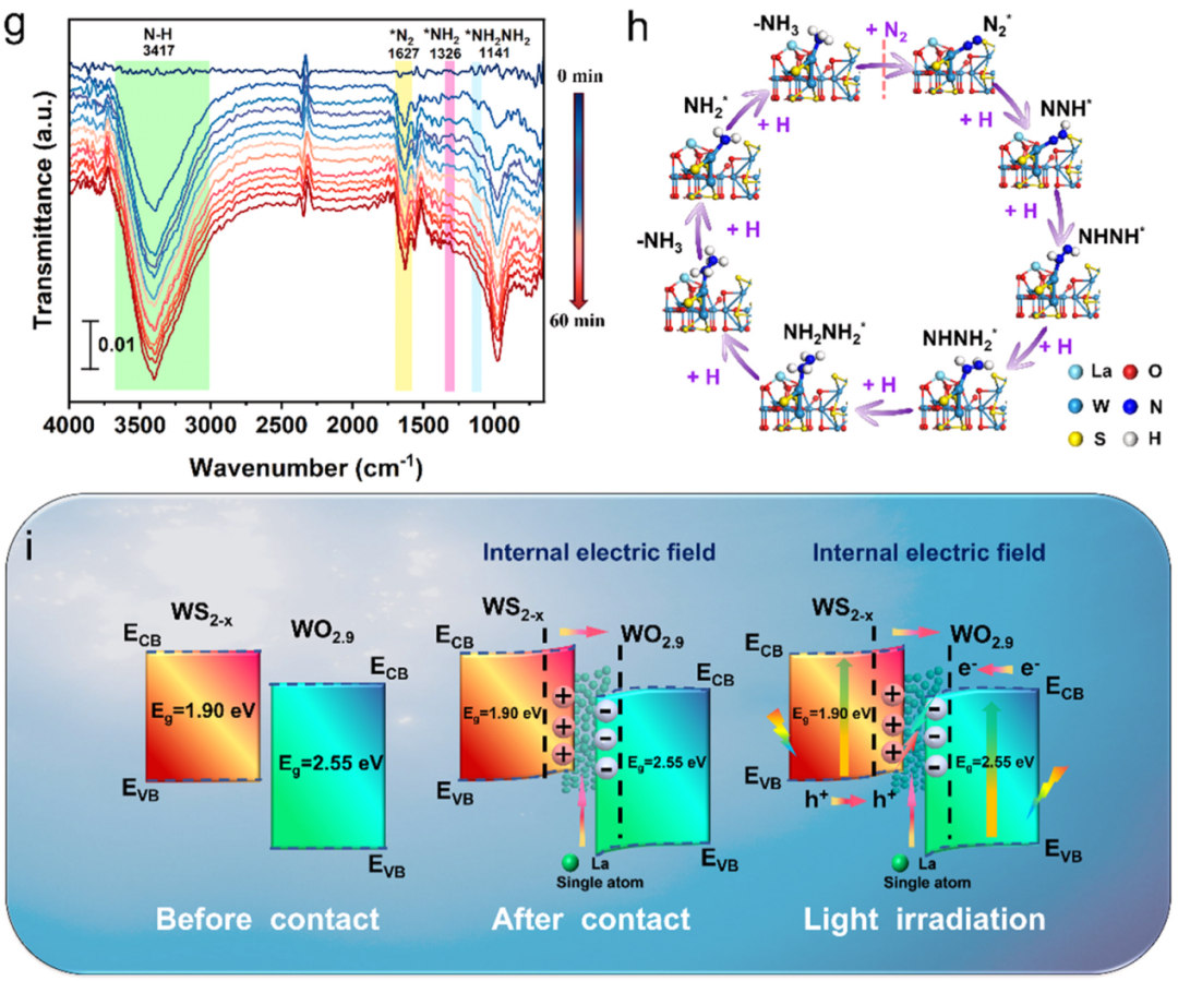 内建电场赋能多反应体系：形成机制、表征方法及应用解析