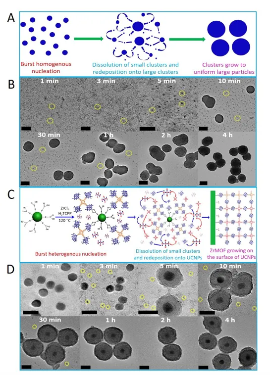奥斯瓦尔德熟化：定义、吉布斯-汤姆逊方程与液/固/液/气四类体系的影响机制
